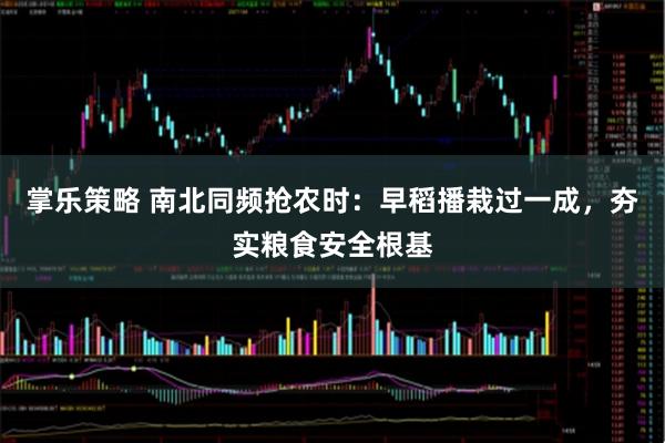 掌乐策略 南北同频抢农时：早稻播栽过一成，夯实粮食安全根基
