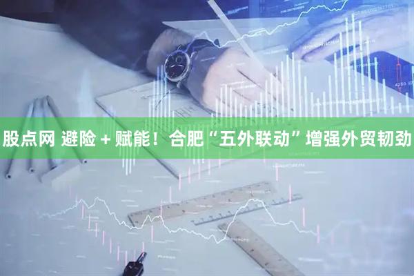 股点网 避险＋赋能！合肥“五外联动”增强外贸韧劲