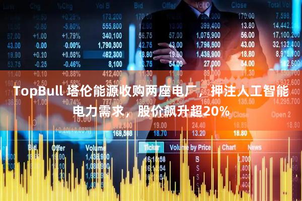 TopBull 塔伦能源收购两座电厂，押注人工智能电力需求，股价飙升超20%